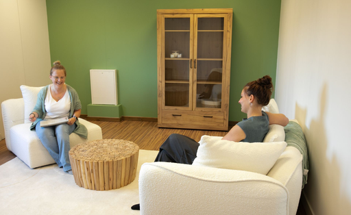 Nei- & Intuïtief systeemtherapie (90 min)